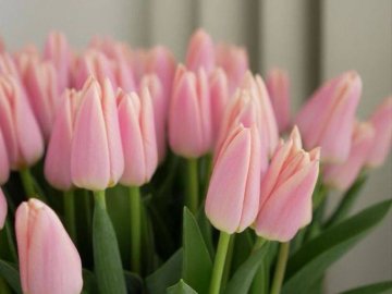 Добрі новини від ВолиньPost за 26 травня