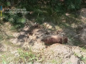 На Волині знищили два артилерійські снаряди, знайдені  у полі під час збирання врожаю