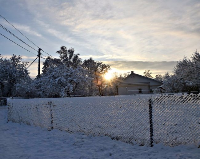 Калинові кетяги і заметені дерева: чудові фото снігопаду на Волині
