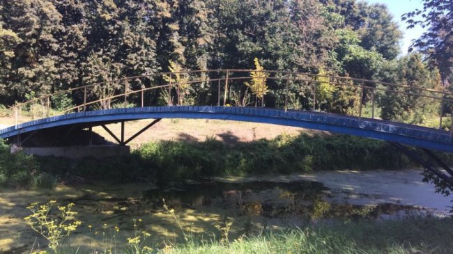 Не вистачає трампліна для стрибків у воду: в луцькому парку – небезпечний міст. ФОТО