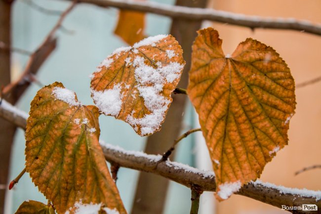 Засніжений Луцьк. ФОТОРЕПОРТАЖ