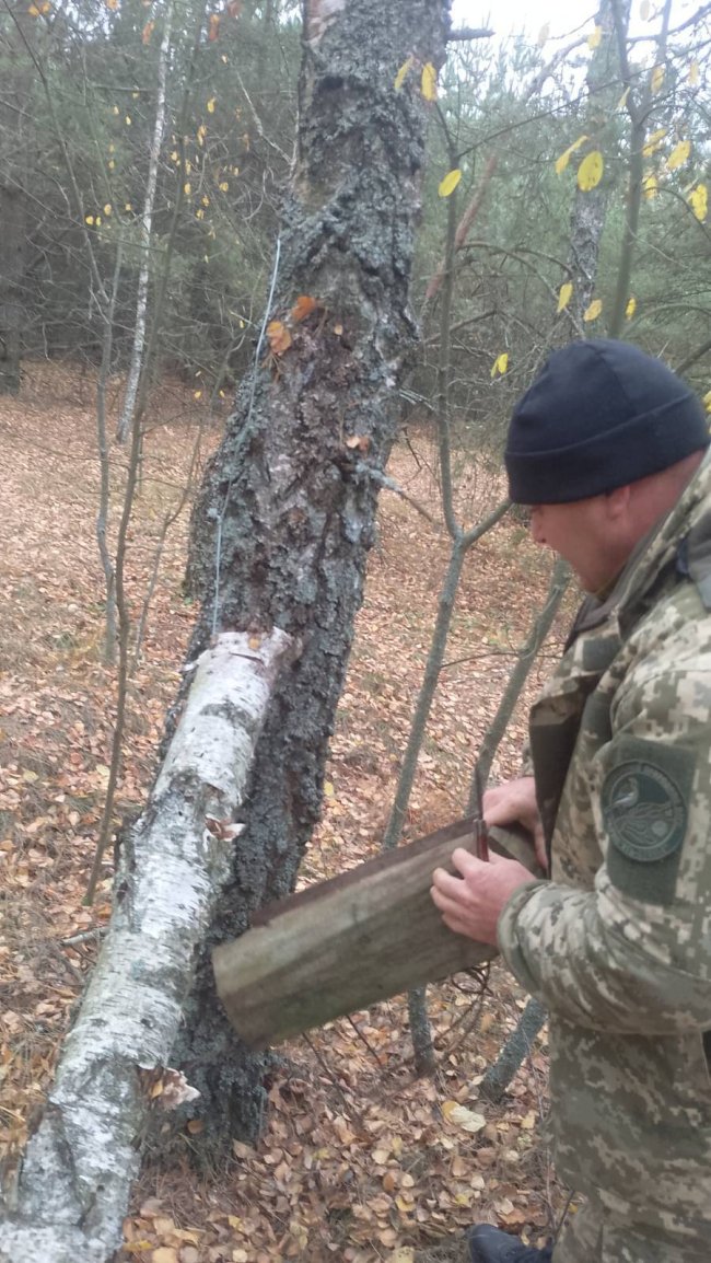 На Волині у нацпарку знайшли пастки браконьєрів. ФОТО