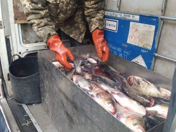 Підприємці, які розводять рибу на Волині, допомагають українській армії. ФОТО