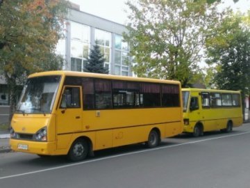 Маршрутки можуть зупинитися: лучан закликають до консолідації
