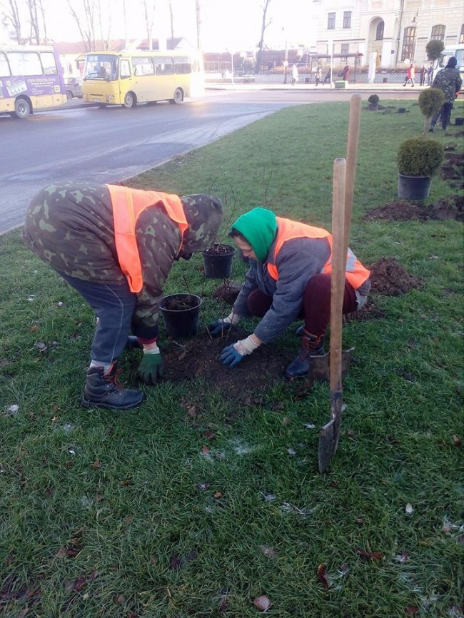 У Луцьку біля залізничного вокзалу озеленюють територію. ФОТО