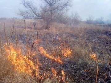 На Волині на вихідних гасили 8 пожеж