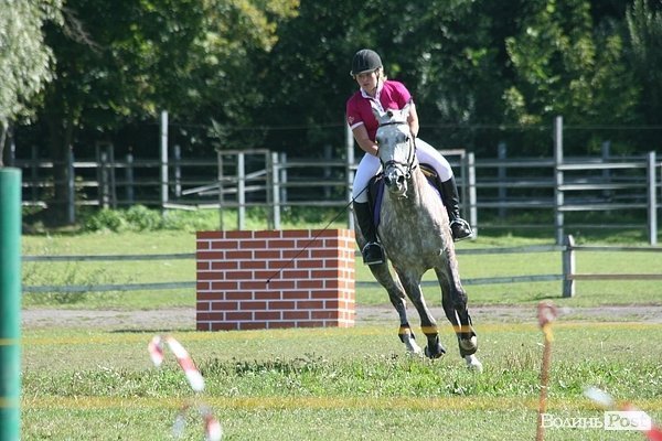 Красуні-вершниці і козаки-екстремали: у Луцьку пройшли кінно-спортивні змагання. ФОТО