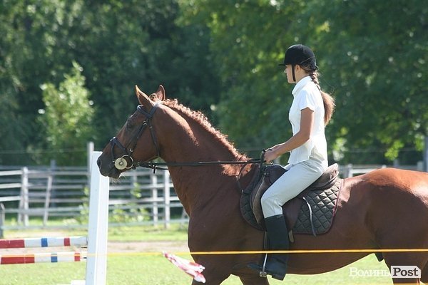 Красуні-вершниці і козаки-екстремали: у Луцьку пройшли кінно-спортивні змагання. ФОТО
