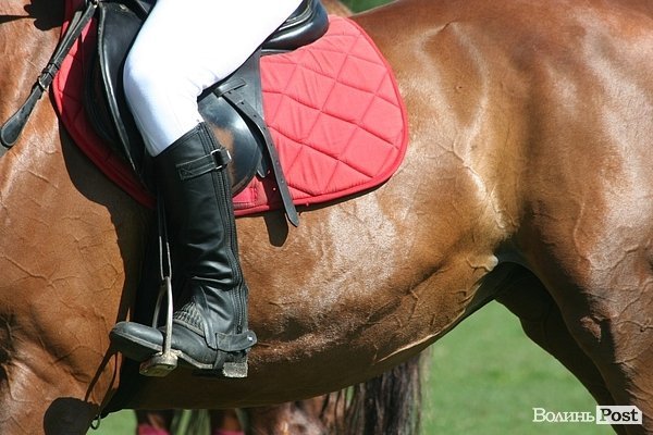 Красуні-вершниці і козаки-екстремали: у Луцьку пройшли кінно-спортивні змагання. ФОТО