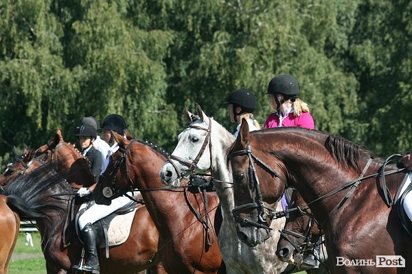 Красуні-вершниці і козаки-екстремали: у Луцьку пройшли кінно-спортивні змагання. ФОТО