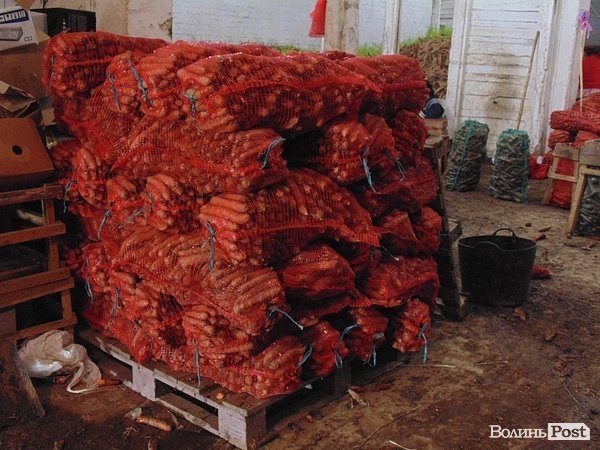 Волиняни відправили 20 тонн допомоги військовим. ФОТО