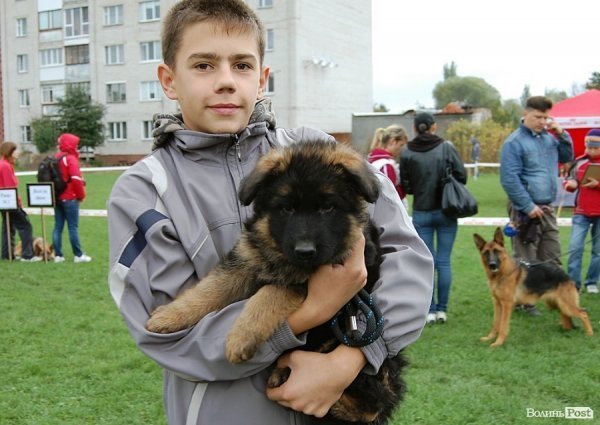 У Луцьку влаштували собаче свято. ФОТО