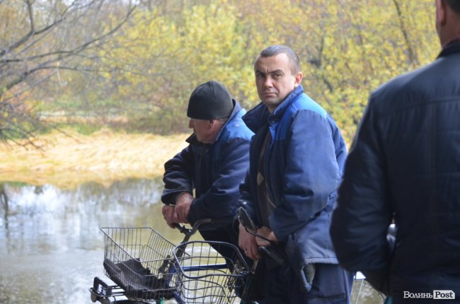 Щука, короп і судак: у луцький Стир випустили тисячі рибин. ФОТО