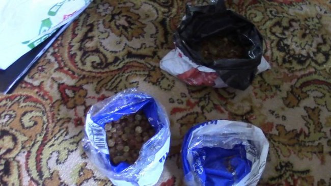 На Волині знайшли мішки бурштину. ФОТО