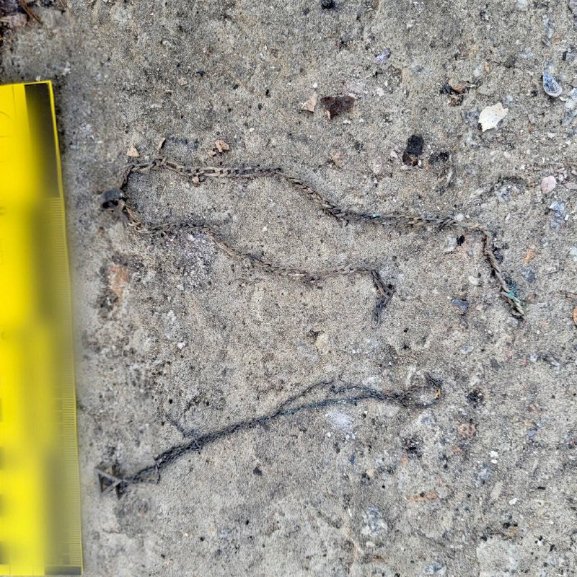 Стратили і спалили: у Бучі виявили рештки двох вбитих росіянами людей