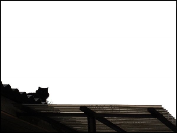 Фотовиставка Валентини Жуги