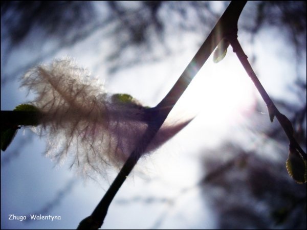 Фотовиставка Валентини Жуги