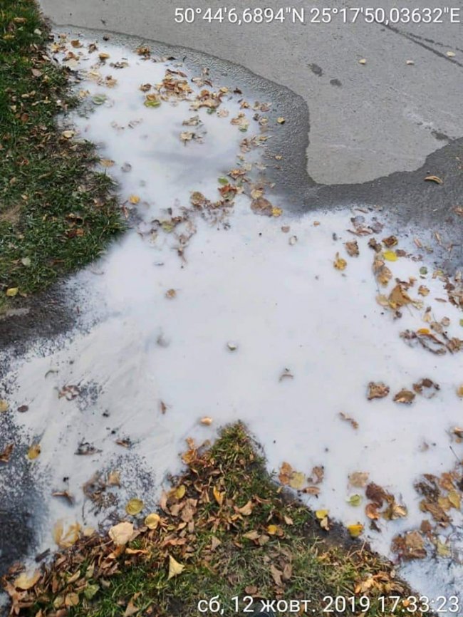 Лучанка зливала  на дорогу нечистоти. ФОТО