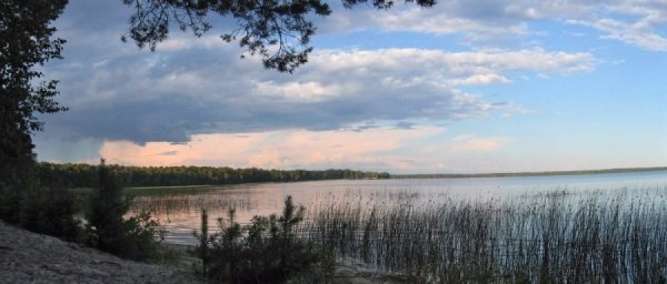 Цікаві відкриття таємничого Полісся. ФОТО