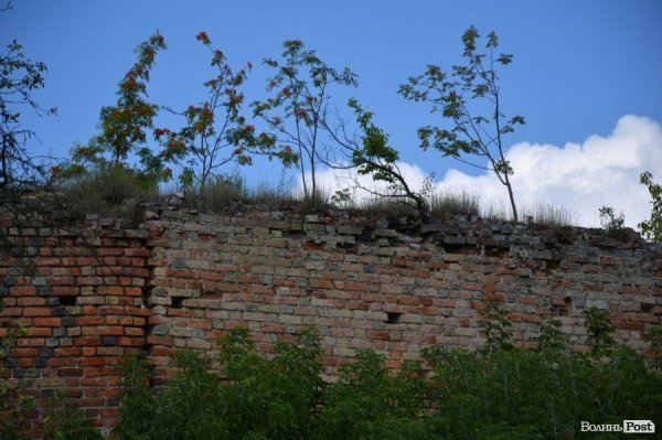 Залишки стін Окольного замку потрібно рятувати