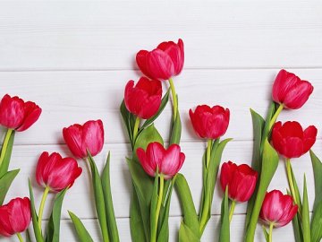 12 квітня – яке сьогодні свято та що не можна робити в цей день