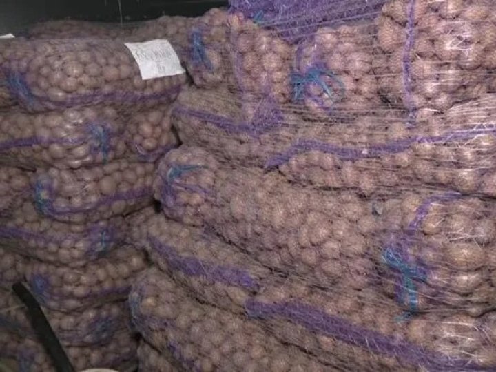 Фермер на Волині передав ветеранам 30 тонн насіннєвої картоплі