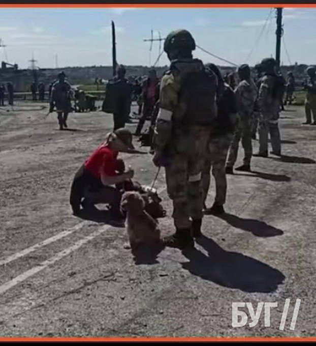 Прикордонниця з Волині, яку звільнили з полону, намагається повернути своїх песиків. ФОТО