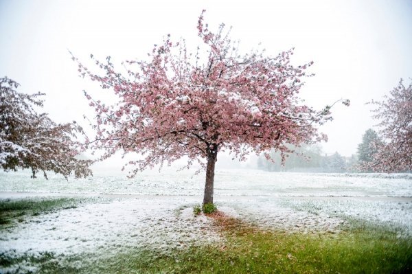 Світ за тиждень. ФОТО