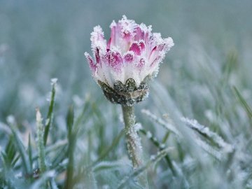 Синоптик розповіла, коли Україну накриють заморозки