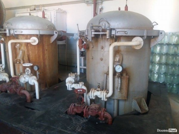 На Волині суничний бум – замість чорниці люди збирають «ягоду сонця». ФОТО