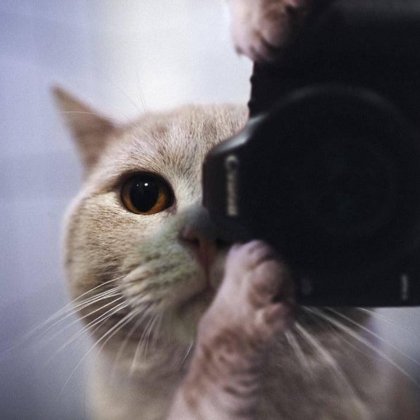 25 альтернатив селфі. ФОТО