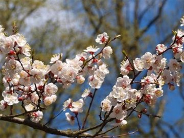 Добрі новини від ВолиньPost за 8 квітня