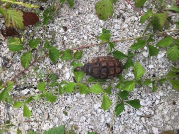 На Волині рятувальники знешкодили снаряди часів Другої світової війни