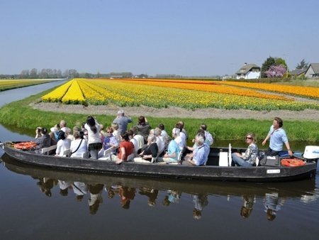 У Нідерландах одночасно квітнуть мільйони тюльпанів. ФОТО