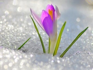 Погода в Луцьку та Волинській області на завтра, 13 березня