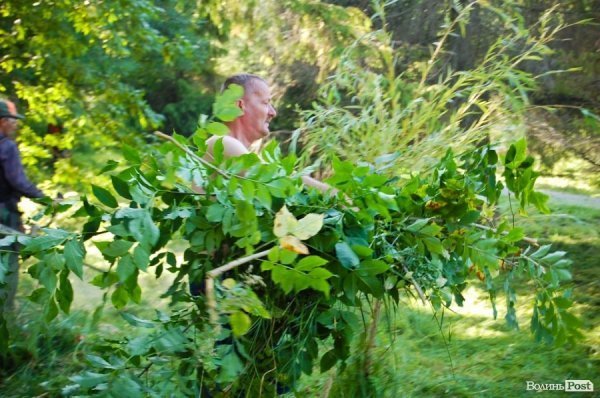 Частина підприємців проігнорувала толоку в луцькому парку. ФОТО