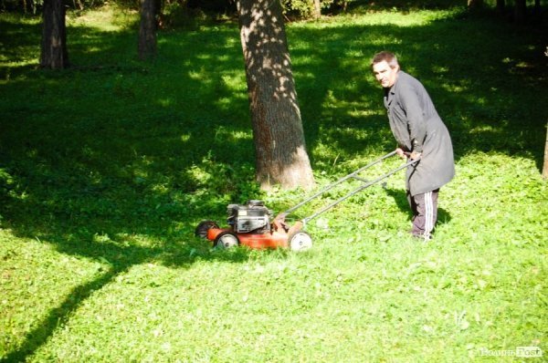 Частина підприємців проігнорувала толоку в луцькому парку. ФОТО