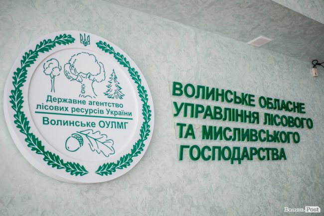 «Шикарна робота»: нагородили найкращих лісівників Волині. ФОТО