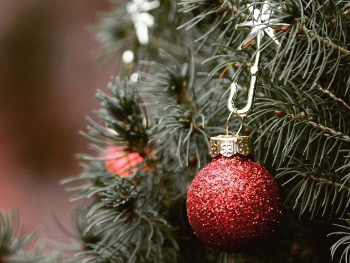 Штрафи за новорічні ялинки: яку відповідальність передбачено 2025 року