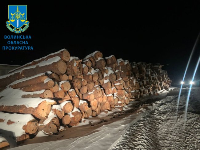 На Волині викрили масштабну схему розкрадання деревини з державних лісгоспів. ФОТО