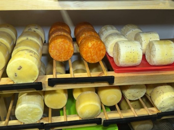 Розпочинали із позиченої каструлі: сім'я з Волині виготовляє 20 сортів сиру. ВІДЕО