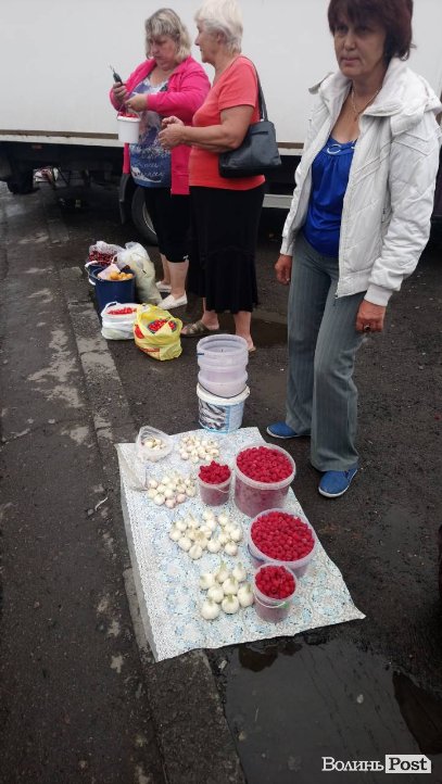 Від і до: скільки на луцькому ринку коштує малина