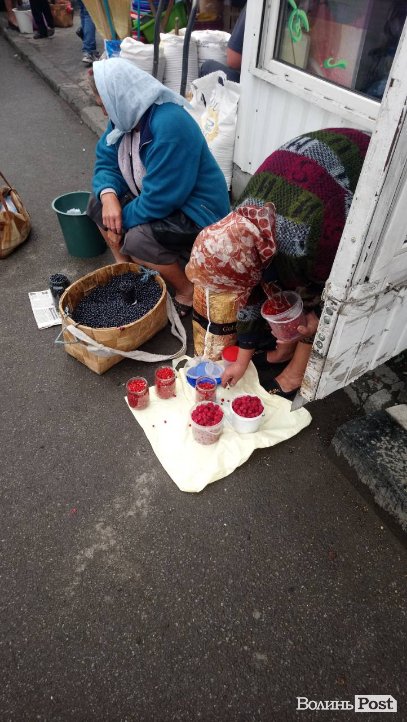 Від і до: скільки на луцькому ринку коштує малина