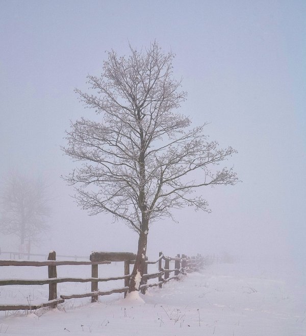 Фотовиставка Юрія Наумовича
