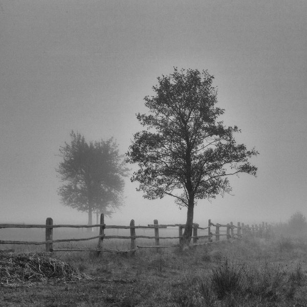 Фотовиставка Юрія Наумовича