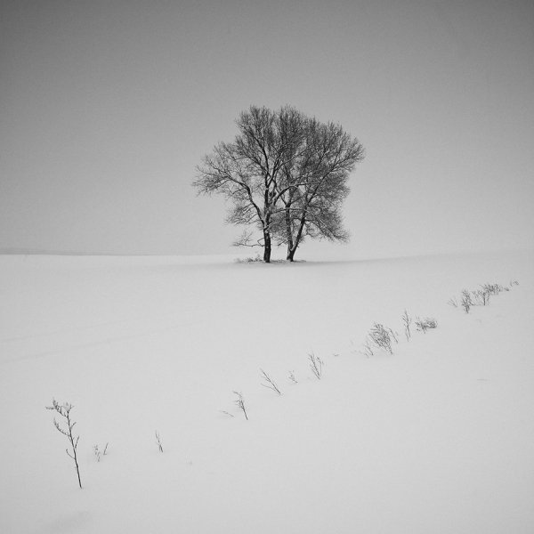 Фотовиставка Юрія Наумовича