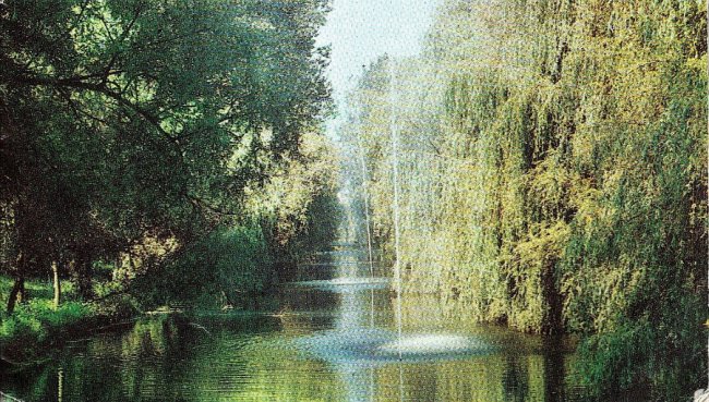 Лучанам розкажуть про місто в «доінтернетну» еру