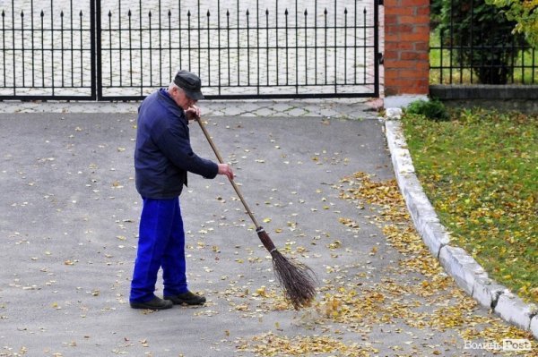 Люди, які прибирають луцькі вулиці. ФОТО