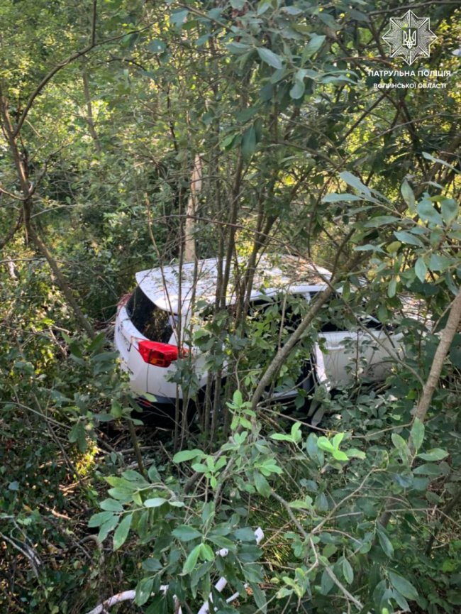 На Волині водійка автомобіля  злетіла у кювет. ФОТО