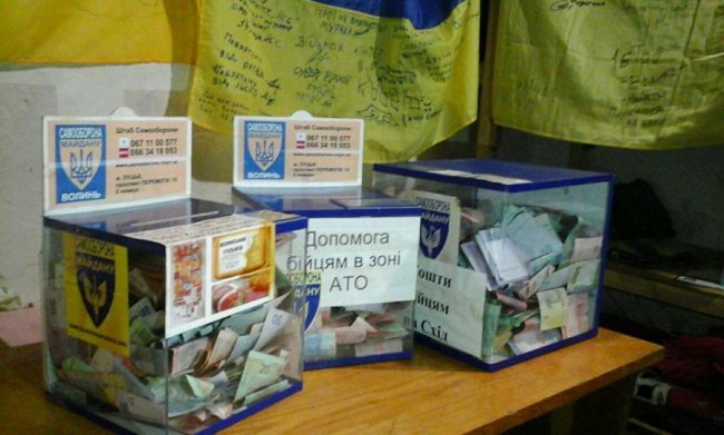 Забіг малюків та виставка собак. Добрі новини Волині